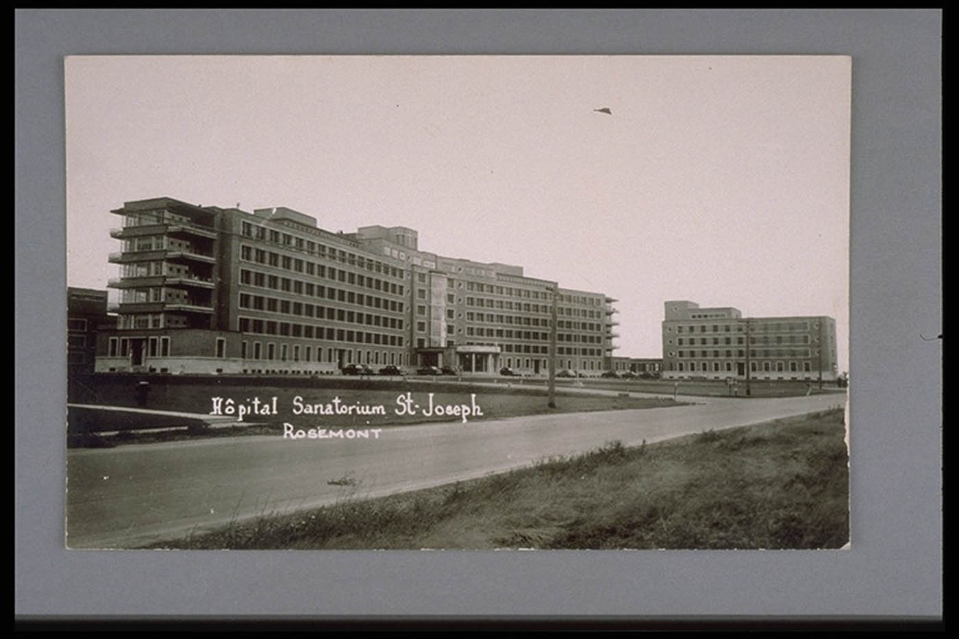 old pograph of buildings with a bird flying by them