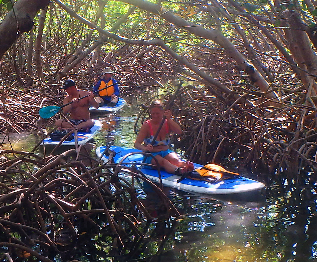 a couple of people riding on a paddle board in a river