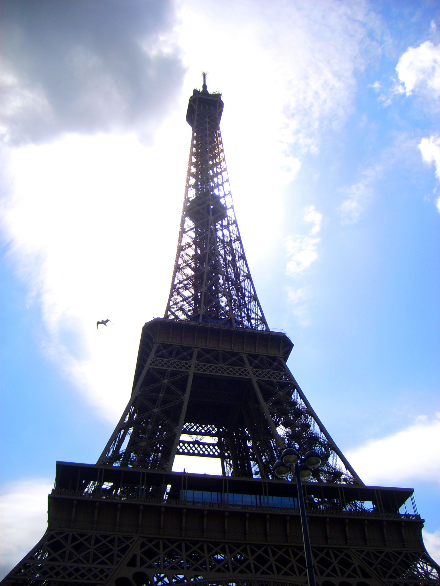 the eiffel tower in paris, france has a bird flying over it