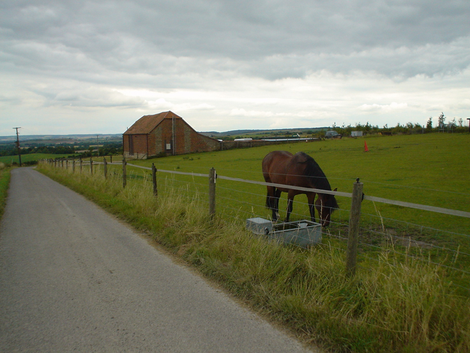a horse drinking from a bucket near a road