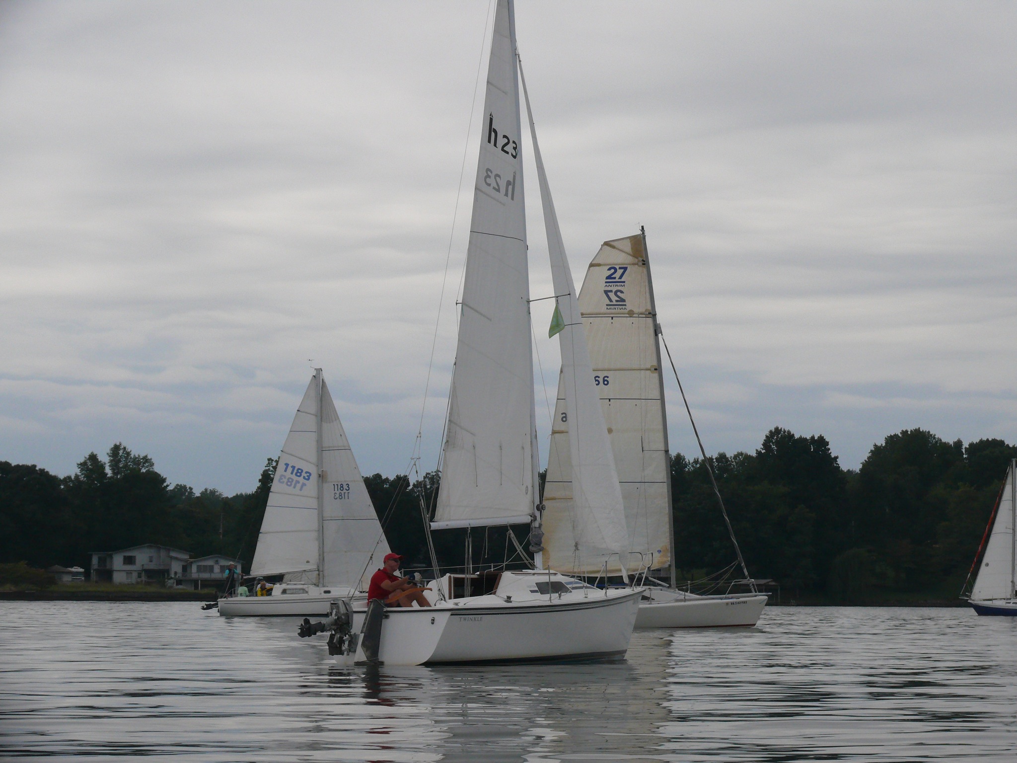 three sail boats sailing on calm water near forest