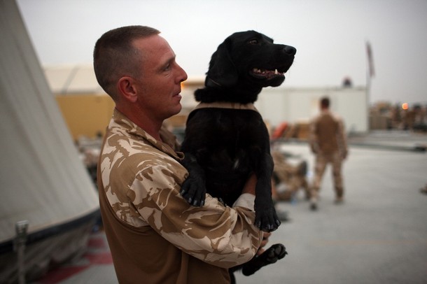 a man in uniform holds a dog that looks like a military dog