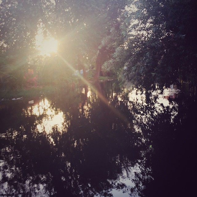 sun reflects in calm lake surrounded by tree reflections