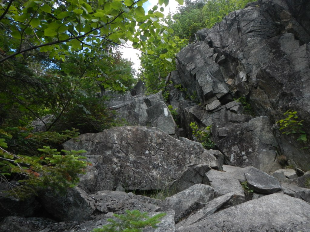 large rocks in the woods next to the trees