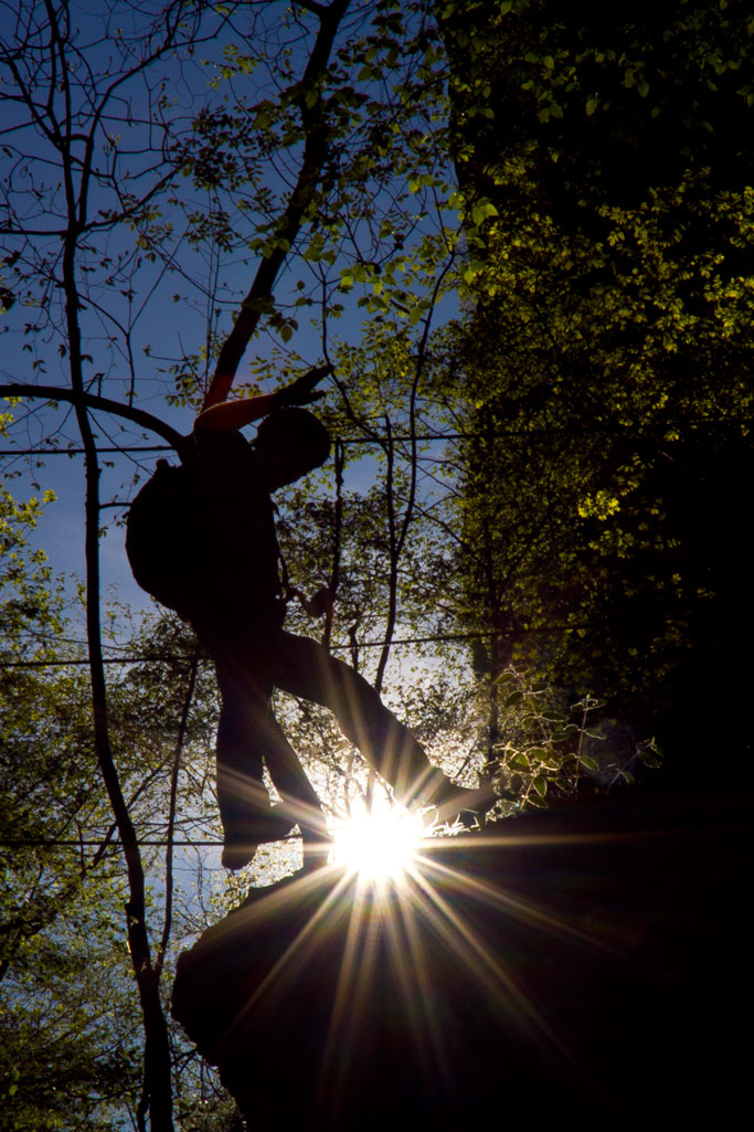 the sun shines through some nches in the woods