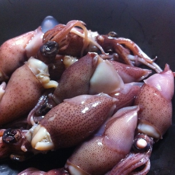 an octo in a bowl that is being sold