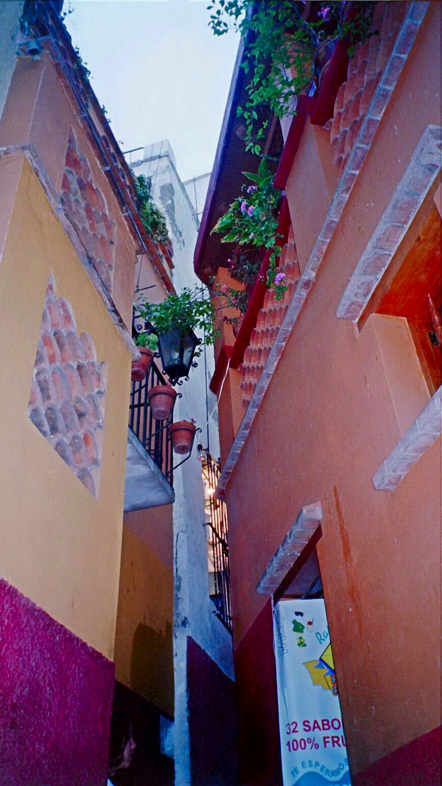 narrow alleyway with balconyes and potted plants