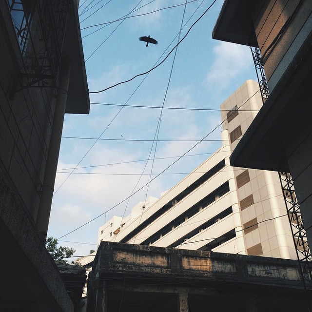 looking up at a bird flying over an apartment building
