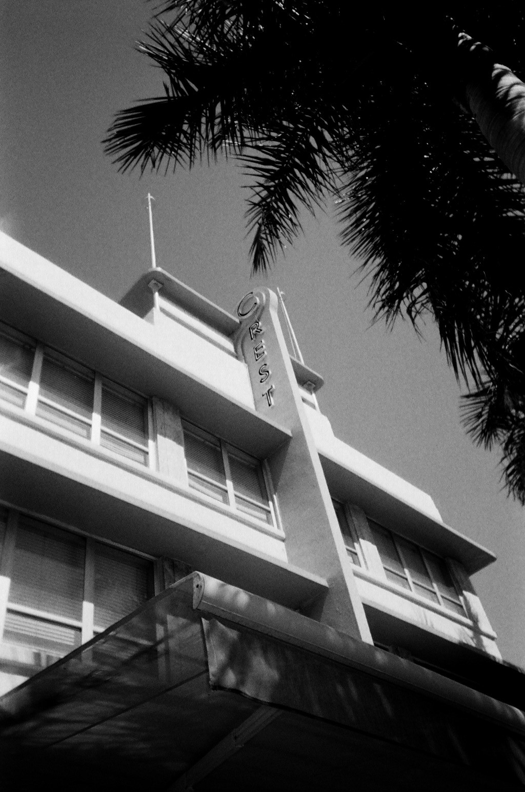 a tall building with balconies sitting behind a palm tree