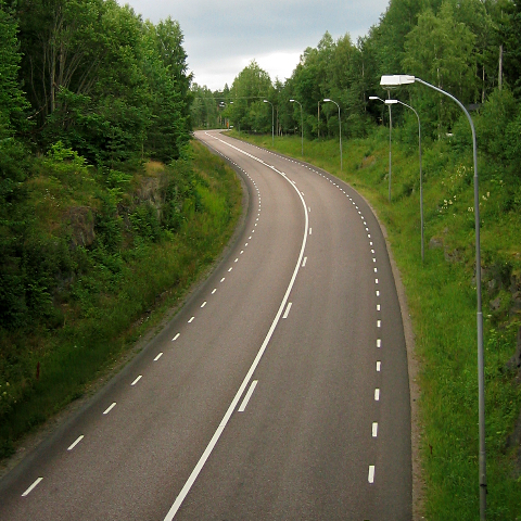 an empty highway is surrounded by green trees and shrubs
