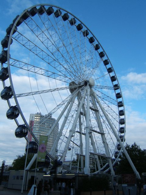 there is a ferris wheel in the park