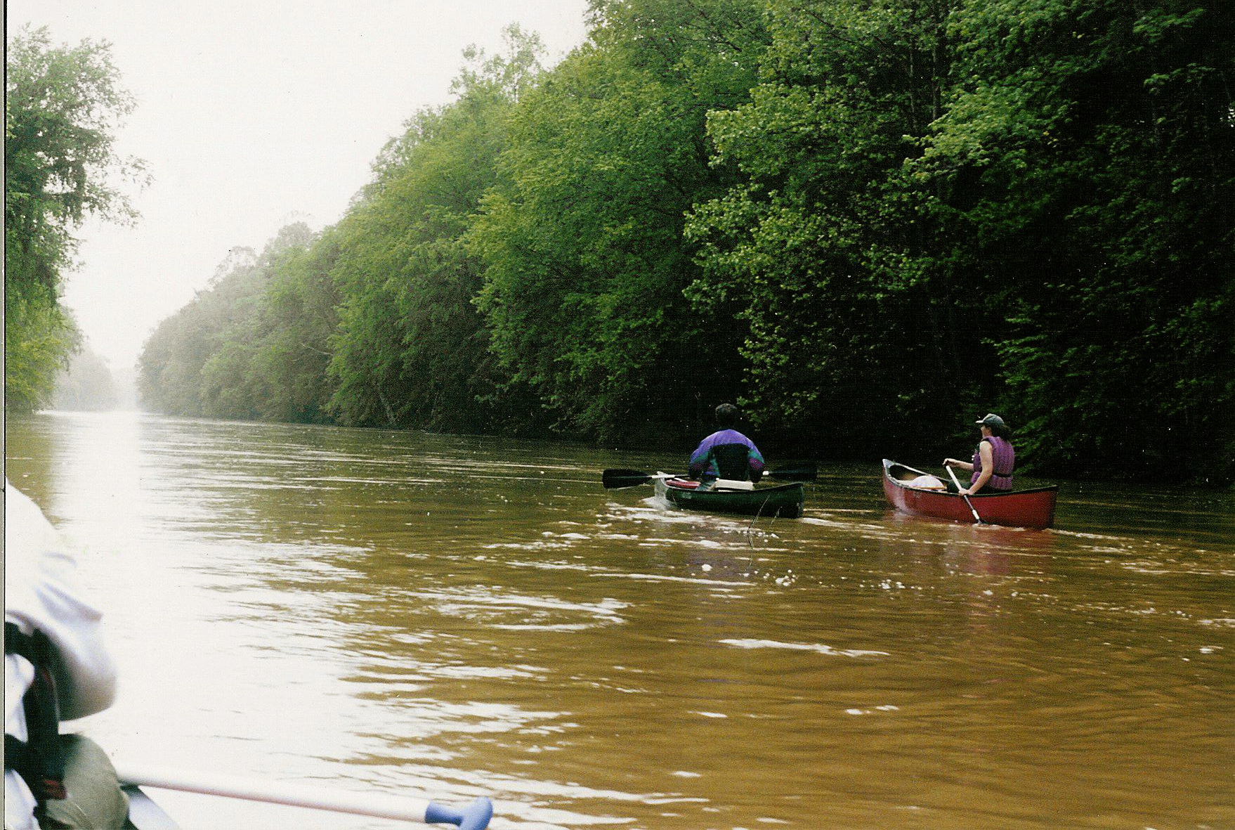 some people are in the water rowing a boat