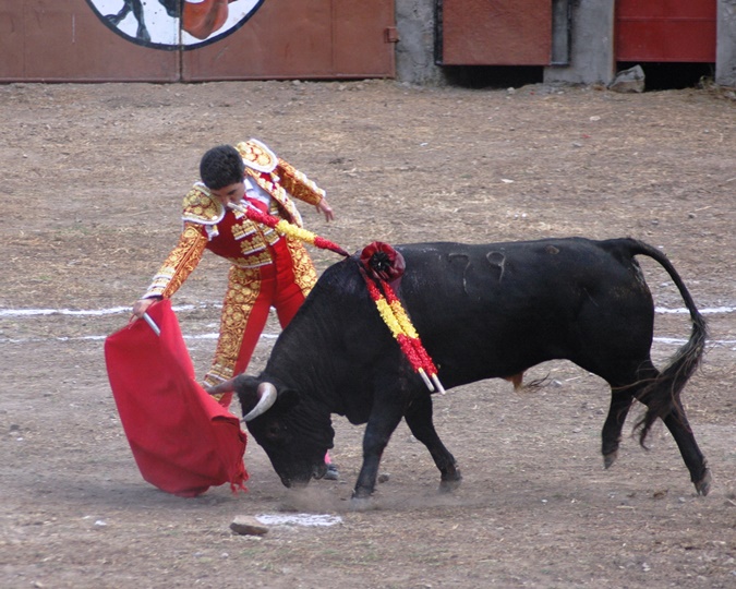 mata de los muertos performs in front of a bull