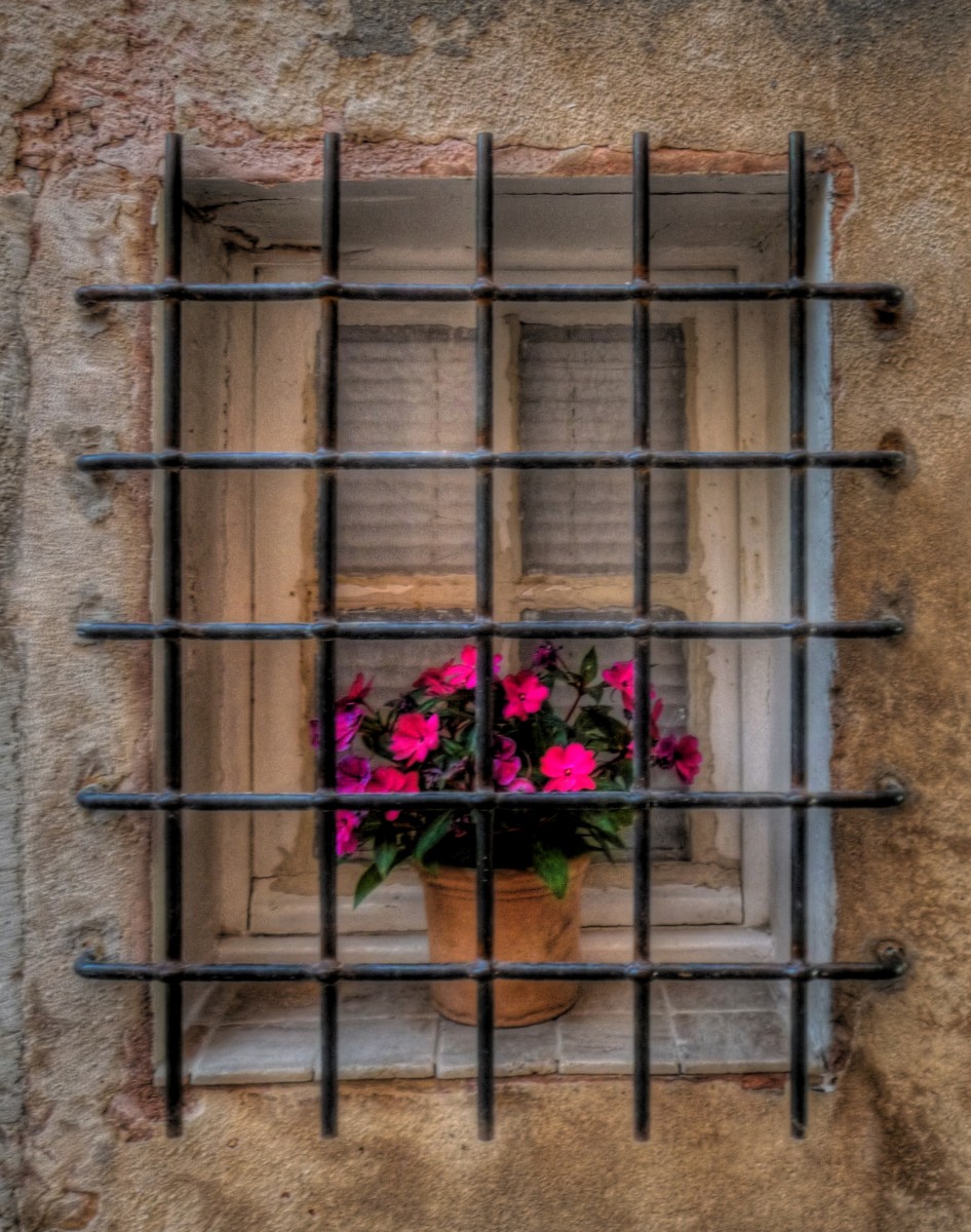 a window with bars with pink flowers in it