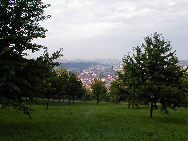 a grassy area with trees and a city in the background