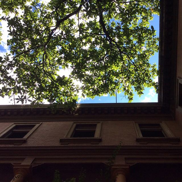 a window on the side of a building with trees growing outside