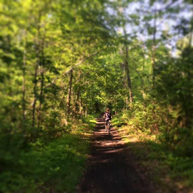 a man riding a bike on a dirt road in the woods