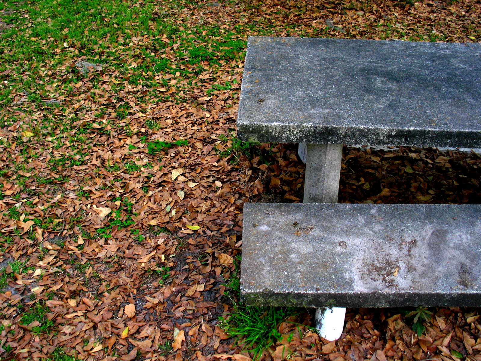 an empty concrete bench next to green grass