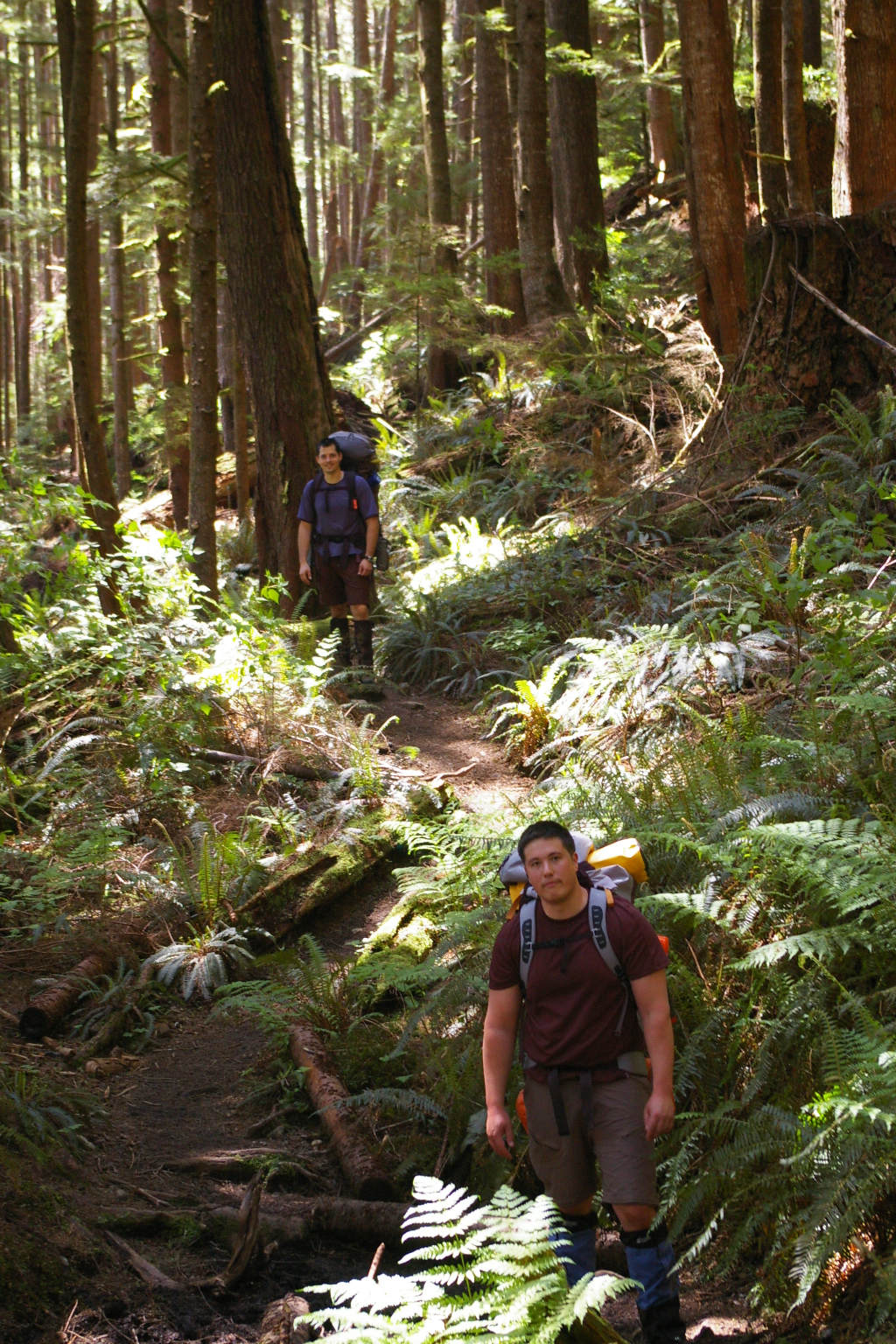 two people hiking through a dense green forest