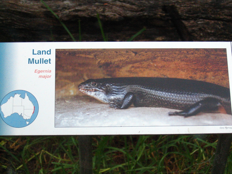 a sign showing land mullet in the wild