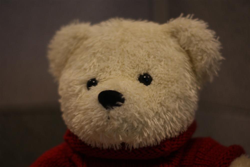a teddy bear with a red sweater around it