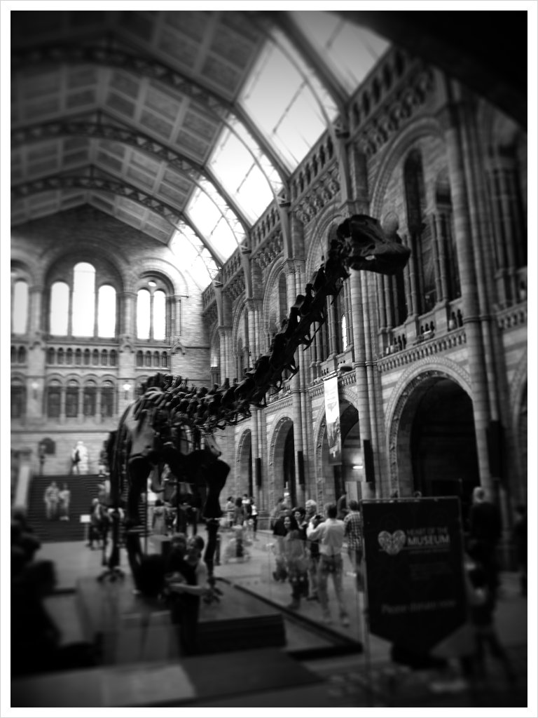 black and white pograph of a dinosaur at a museum