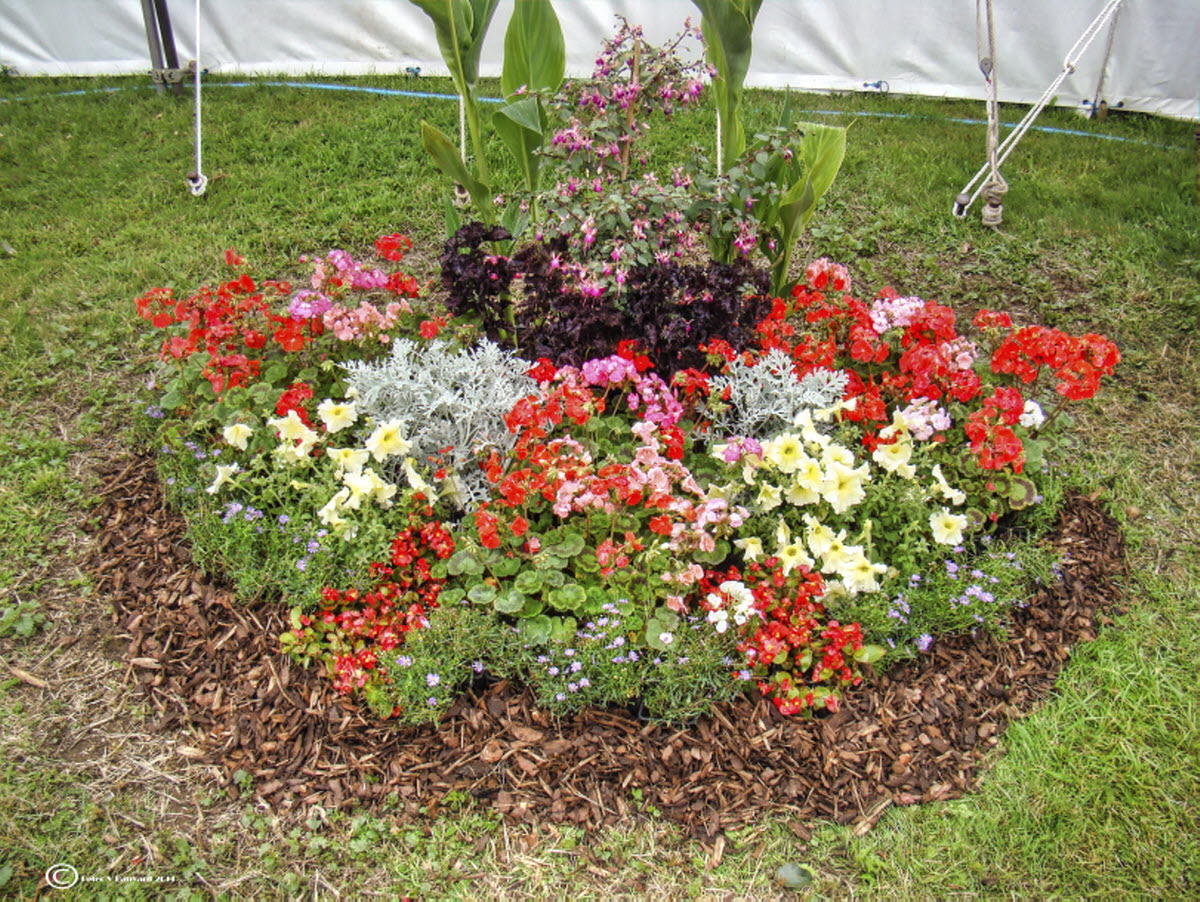 this bed has flowers all in the corner