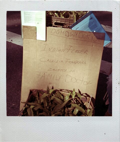 a cardboard sign with writing is near a planter