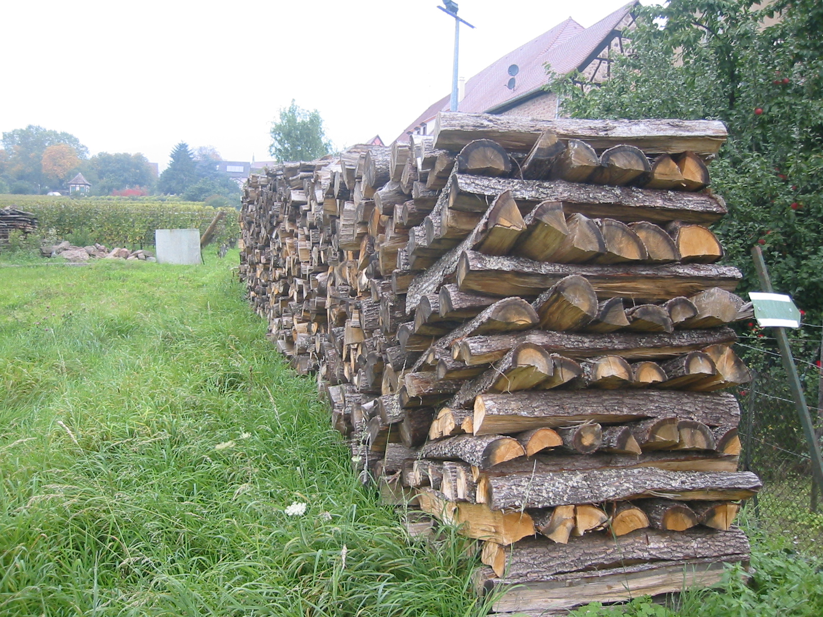 a pile of firewood is stacked with the other logs