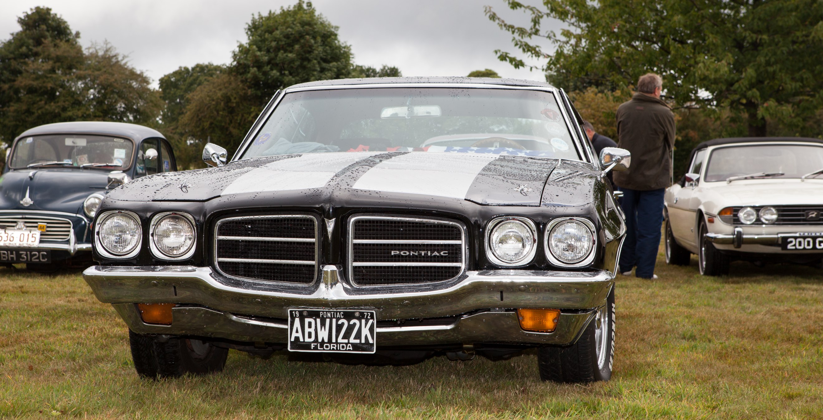 a silver car parked in a grassy field