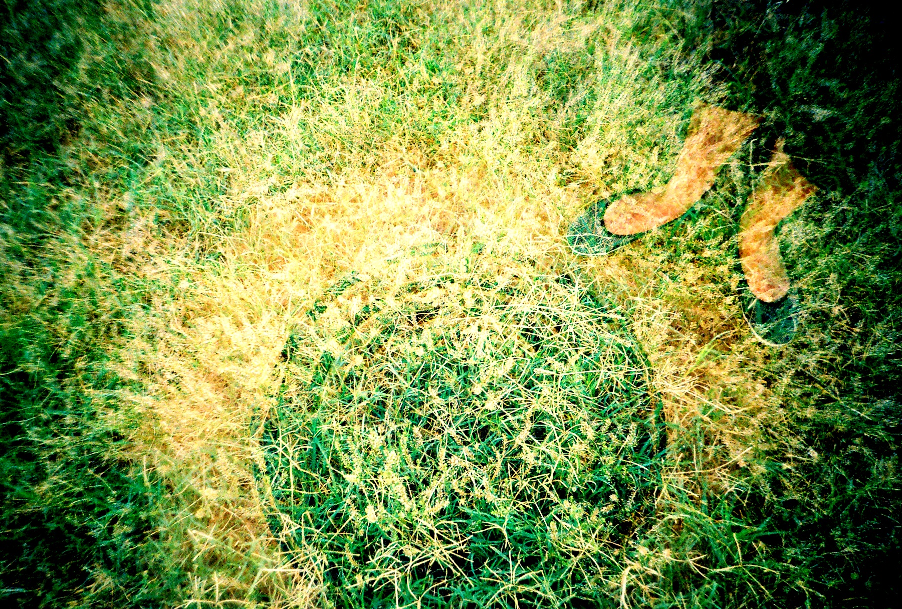 an aerial view shows a patch of grass in the middle of a circle