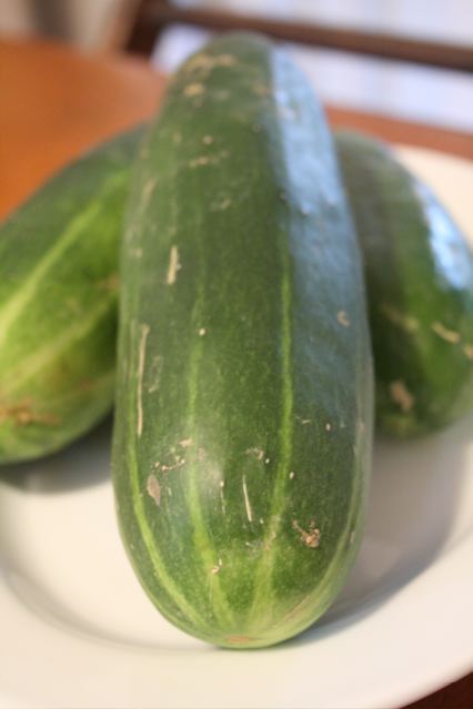 cucumbers sit on a white plate on a table