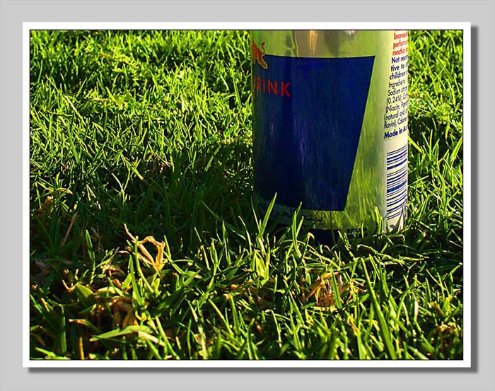 a can of soda in the grass with a blue stripe