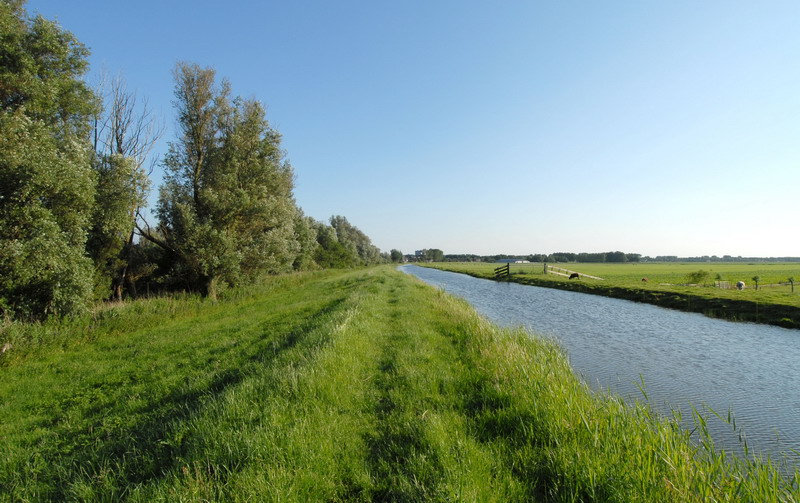 a grassy river and a road near a field