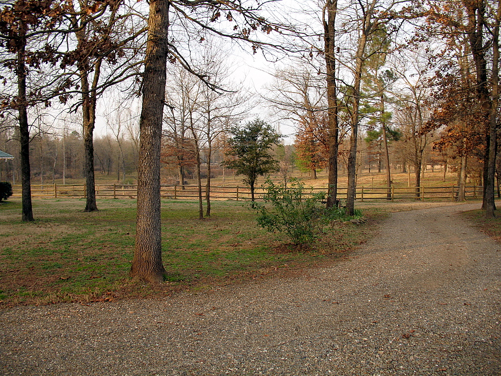 trees and a path going through a large field