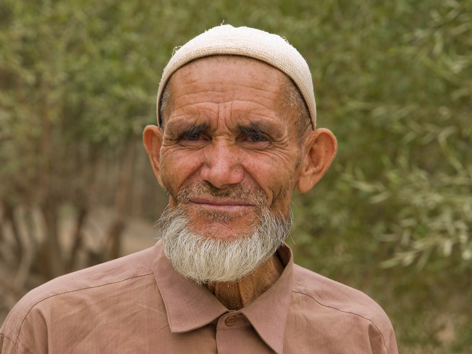 an older man with a white beard in a brown shirt