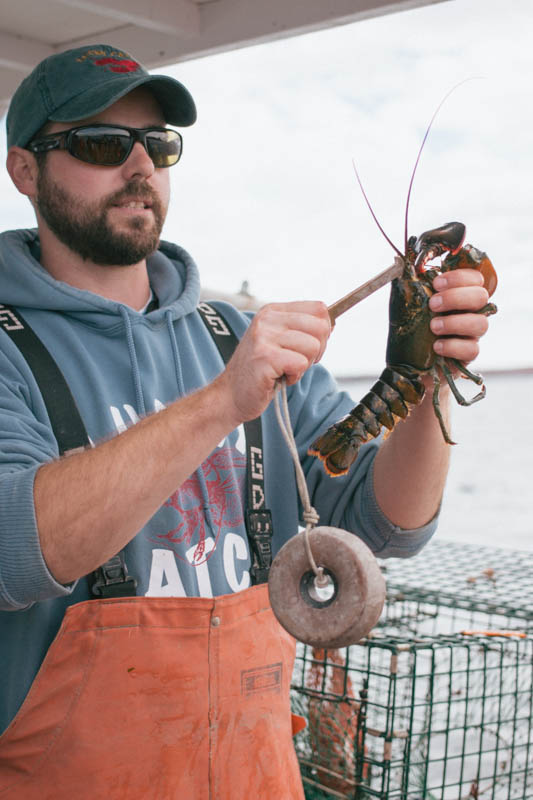 a man holding a large shrimp on the hook