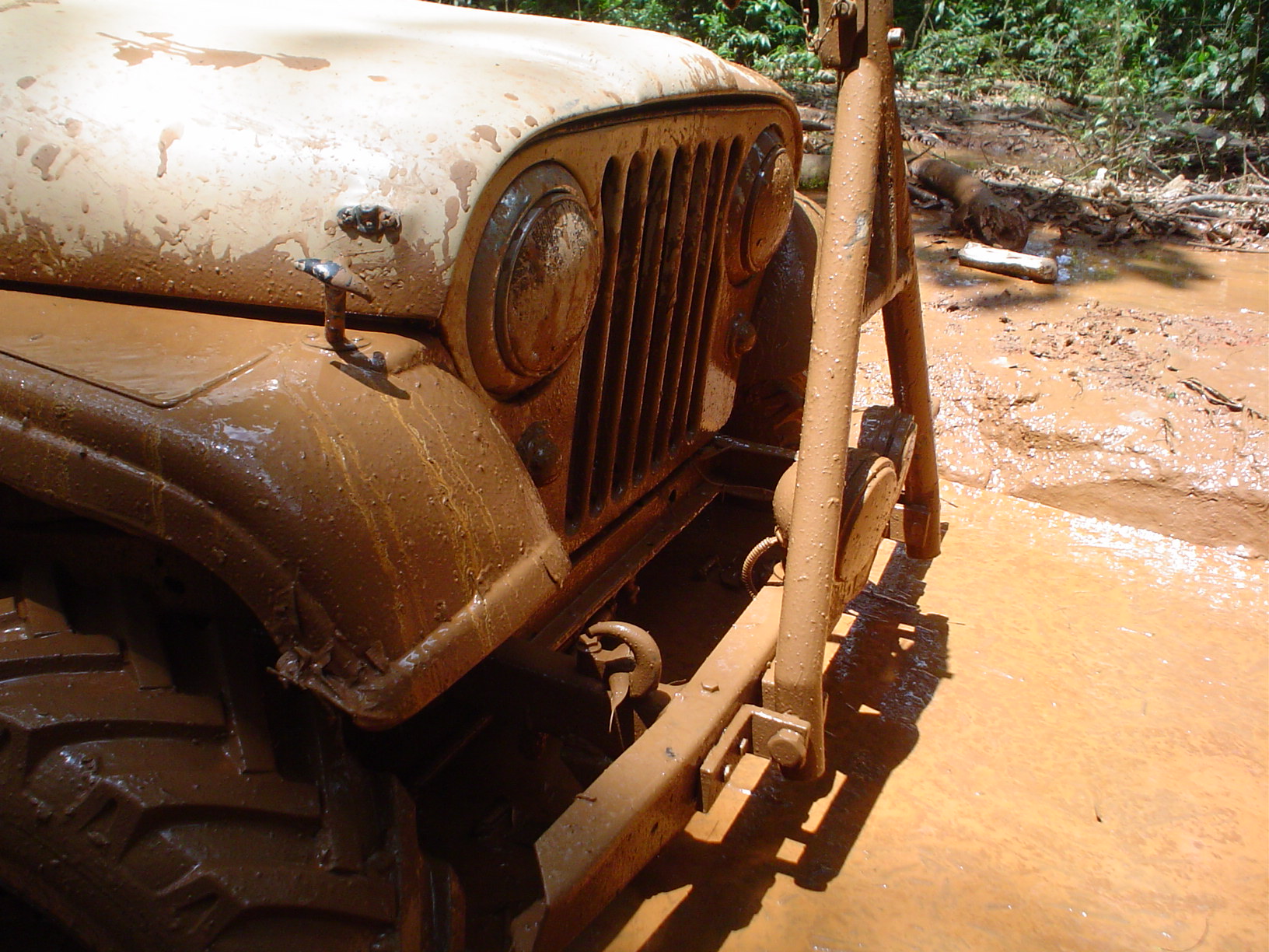 a dirty, rusted truck parked in front of the forest