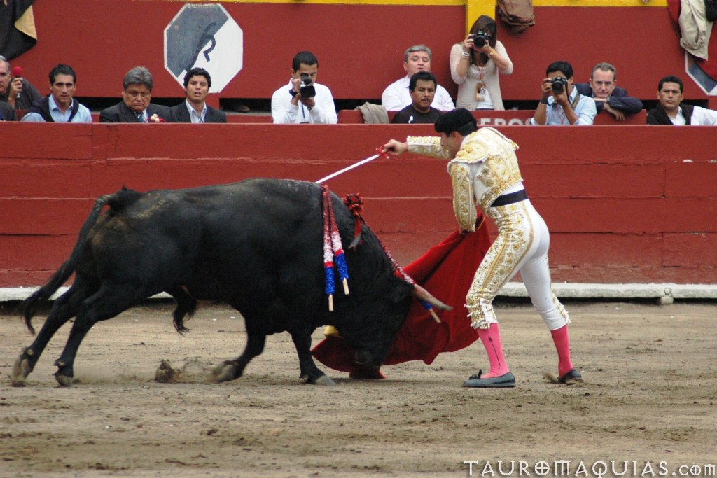 a person in white coat and a red cloak wrestling with a black bull