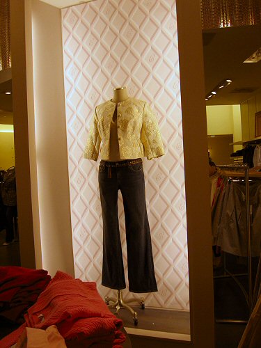 a dress and jacket on display behind glass in front of people