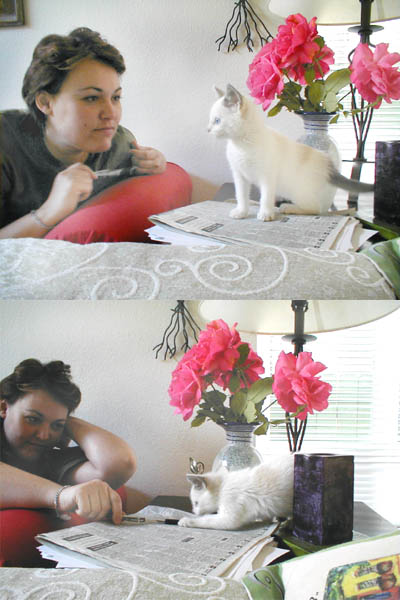two pos of a white cat sitting on a table, and a woman looking at her picture