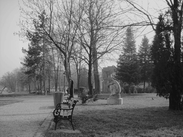 a black and white pograph of a park bench