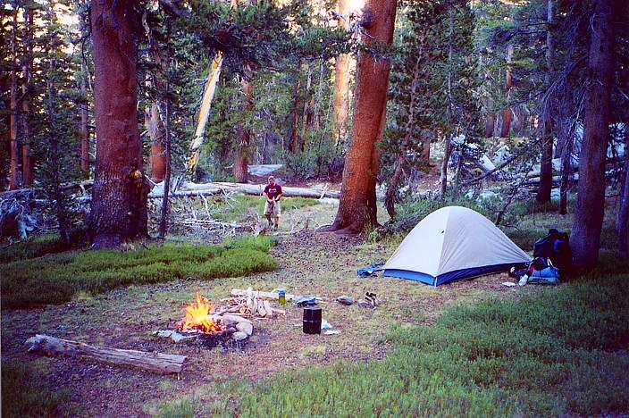 a tent pitched in a forest with fire pit nearby