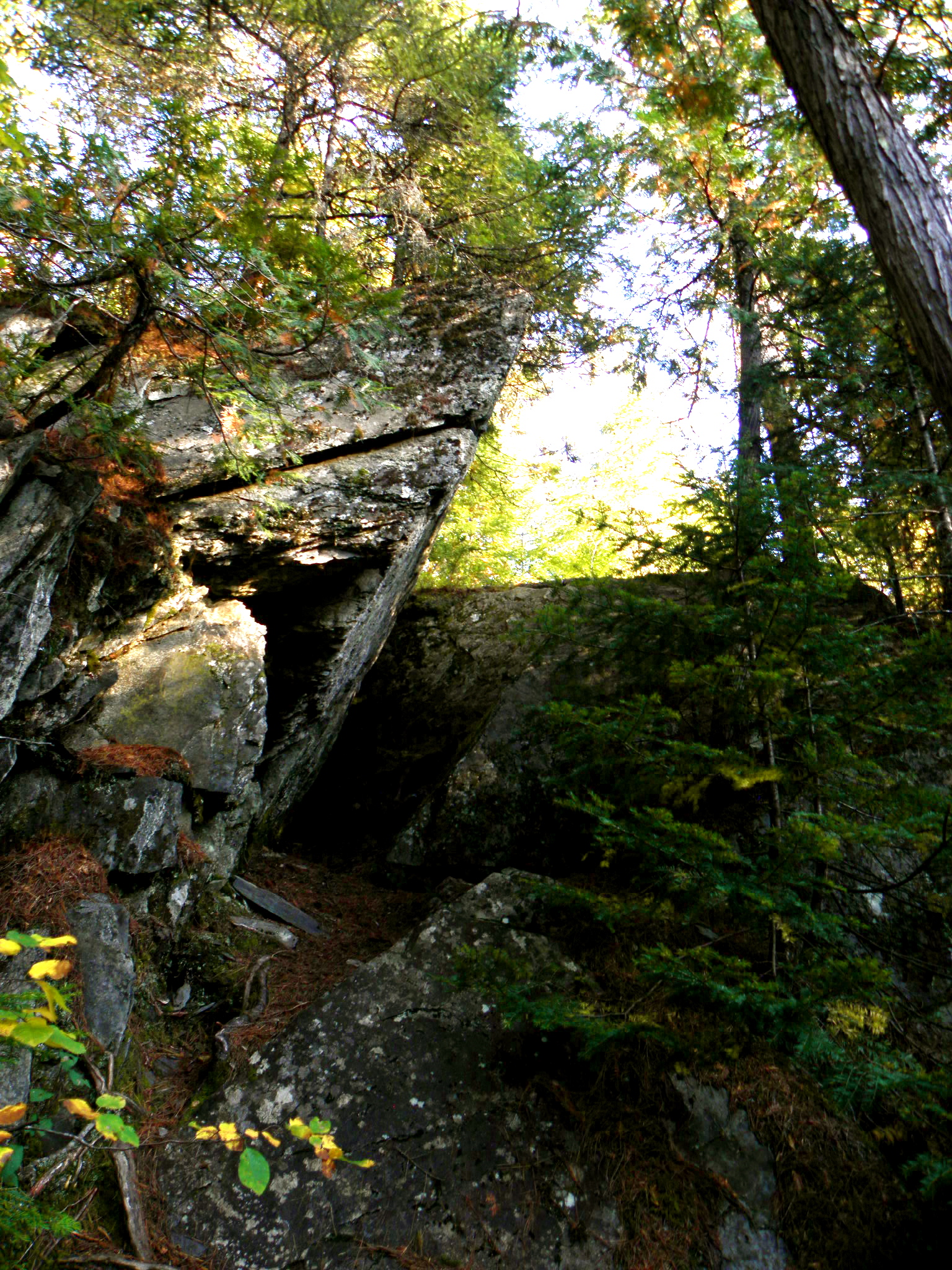 a big rocky cliff surrounded by trees and plants