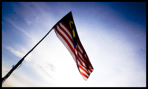 a close up of a flag on top of a pole