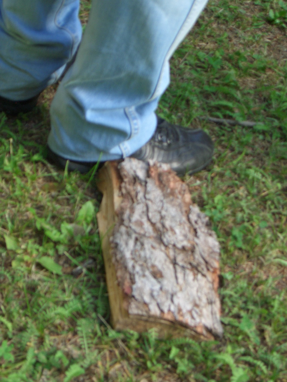 a person standing next to a cut in half log