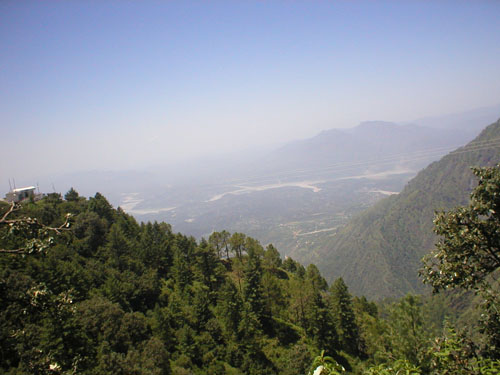 a valley with large trees and mountains in the distance