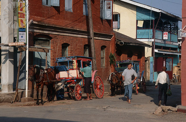 a man leading three horses on the road