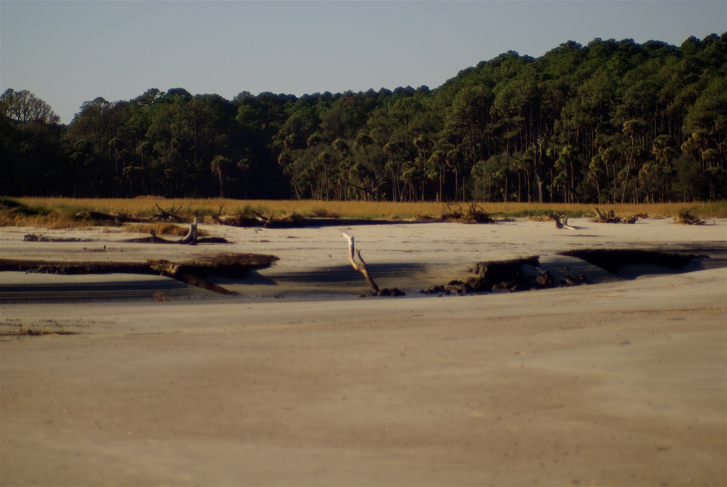 an image of an empty beach area with trees