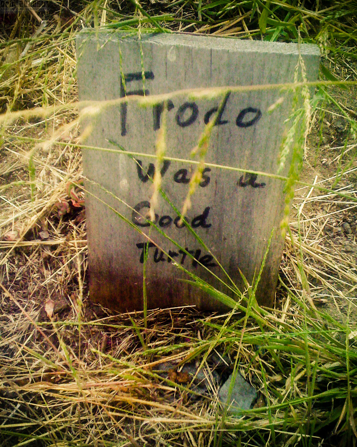 this is an image of a memorial in a grassy field